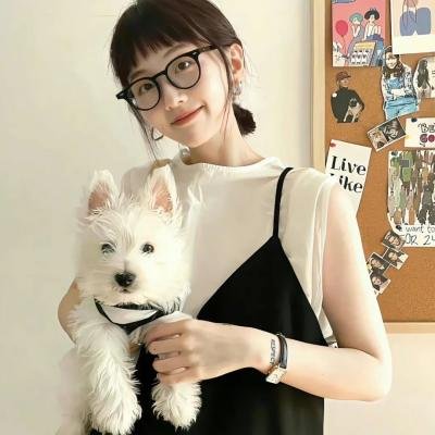 新贵 第三季